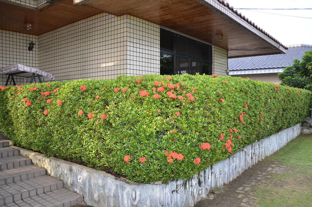 Kaohsiung Meinong Rabbit Paul Homestay B&B Mei-nung Exterior photo